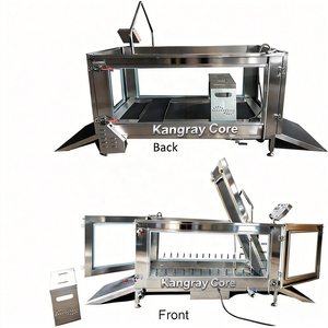 Caminadora Subacuática para Perros, Hidroterapia para Mascotas, Velocidad Ajustable de 0.75-2.0 HP, Capacidad de Carga de 80-120 kg, Fabricante OEM ODM, CE ISO - Product Image 3
