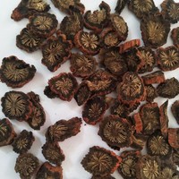 Racine de sauge rouge séchée en tranches, emballage personnalisé OEM pour la vente au détail, épice à base de plantes Dan Shen AD