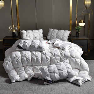 Nouvelle <span class=keywords><strong>couette</strong></span> en duvet 95% duvet 80 fils/cm² Douce <span class=keywords><strong>couette</strong></span> en soie 2-4,5 kg Tricot torsadé Extra épaisse <span class=keywords><strong>et</strong></span> <span class=keywords><strong>chaude</strong></span> Literie pour l'hiver - Product Image 3
