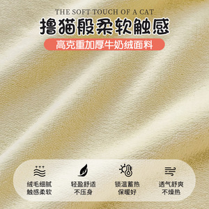 Life Home Milk Fleece Bed <b>Sheet</b> Single Winter Thickened Skin Friendly Solid Color Adult <b>Fitted</b> <b>Flat</b> <b>Sheets</b> - Product Image 5