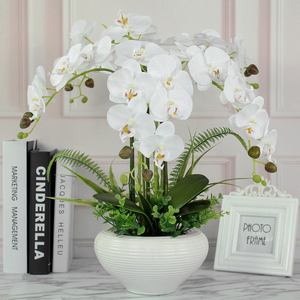 Grohandel knstliche orchideen topf fr schne Hausdekoration - Alibaba.com