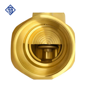 Valvola di Riduzione della Pressione Manuale in Ottone Premium DN50 PN16 per Sistemi Idrici Industriali - Product Image 5