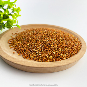 Di alta qualità bio rosso miglio dito miglio caldo di vendita con scafo per uccelli dalla cina all'ingrosso - Product Image 5