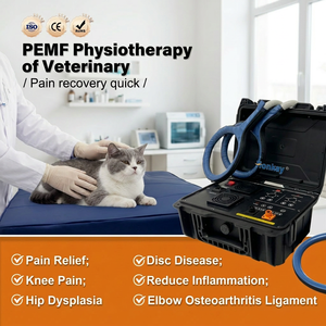 Máquina de Terapia PEMF Portátil de Alta Calidad para Mascotas, Alivia la Tensión Muscular, Dispositivo PEMF para Uso Animal en Clínicas Veterinarias - Product Image 1