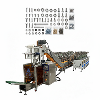 Machine d'emballage automatique de vis avec alimentateur vibrant pour sacs en plastique – Solution d'emballage de quincaillerie sur mesure haute précision