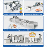 Máquina Clasificadora de Huevos ORME, Seleccionadora por Peso, Impresora, Clasificadora Automática de Huevos, Precio