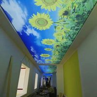 Plafonds suspendus modernes à effet 3D pour restaurant, imprimés UV avec des fleurs vertes et rouges, un ciel bleu clair et des nuages