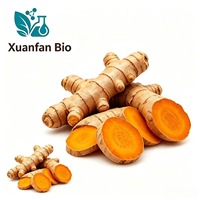Approvisionnement en gros usine – Meilleur prix – Poudre de tétrahydrocurcumine naturelle de haute qualité 98 % – Extrait de curcuma – Matière première
