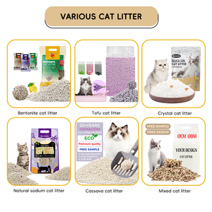 Produk Hewan Peliharaan Pasir Kucing Ramah Lingkungan Bebas Debu Super Serap Arena Rumah Tangga Untuk Kucing Pasir Kucing Bentonit 10l - Product Image 3