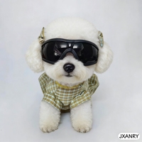 Lunettes pour animaux de compagnie JXANRY pour mini chiens et terriers/schnauzers - Lunettes de soleil tendance en PVC avec protection UV pour les activités de plein air