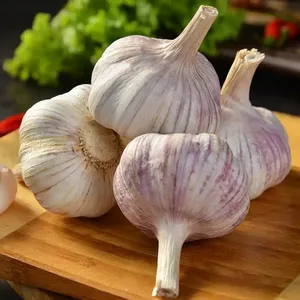 Taze Süper Beyaz Organik Soyulmuş Sarımsak En Yüksek Kalite En Yeni Ürün Özelleştirilmiş Paketleme Soğuk Hava Deposu Tedarik İhracat - Product Image 3