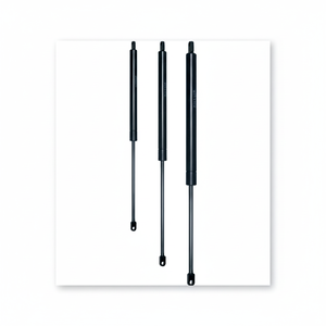 C 250 Carrera F 400 N CILINDRO OLEOPNEUMÁTICO (VO25/040) - Product Image 1