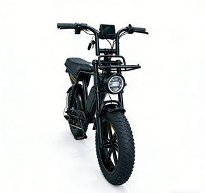 Vélo de montagne <span class=keywords><strong>électrique</strong></span> 36V 12Ah 250W avec cadre en alliage d'aluminium de 20 pouces, moteur à moyeu arrière à 6 vitesses, frein à disque, batterie au lithium, 50KM/H - Product Image 3