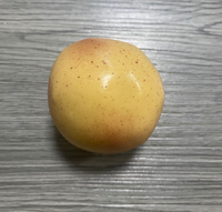 Mini-aliments réalistes, jouets sensoriels extensibles et compressibles en forme de fruits, pour le soulagement du stress, cadeau de fête