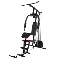 Machine d'entraînement multifonctionnelle pour tout le corps, station de gym à domicile tout-en-un avec pile de poids de 30 kg