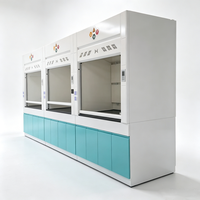 Hotte de laboratoire en acier au design moderne, plan de travail résistant aux acides pour usage scolaire et hospitalier, préparation d'échantillons, laboratoire de chimie analytique
