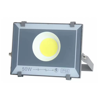 Projecteur LED COB extérieur pour stades sportifs et terrains de tennis, IP66, 50W 100W 200W 300W 400W 500W 600W 800W 1000W
