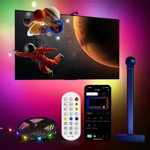 12V 3.8m 12.5ft IP 20 RGBIC 55-65 Inches TV Google Alexa App Wifi Control Immersion LED TV Strip Backlight With Camera Sensing