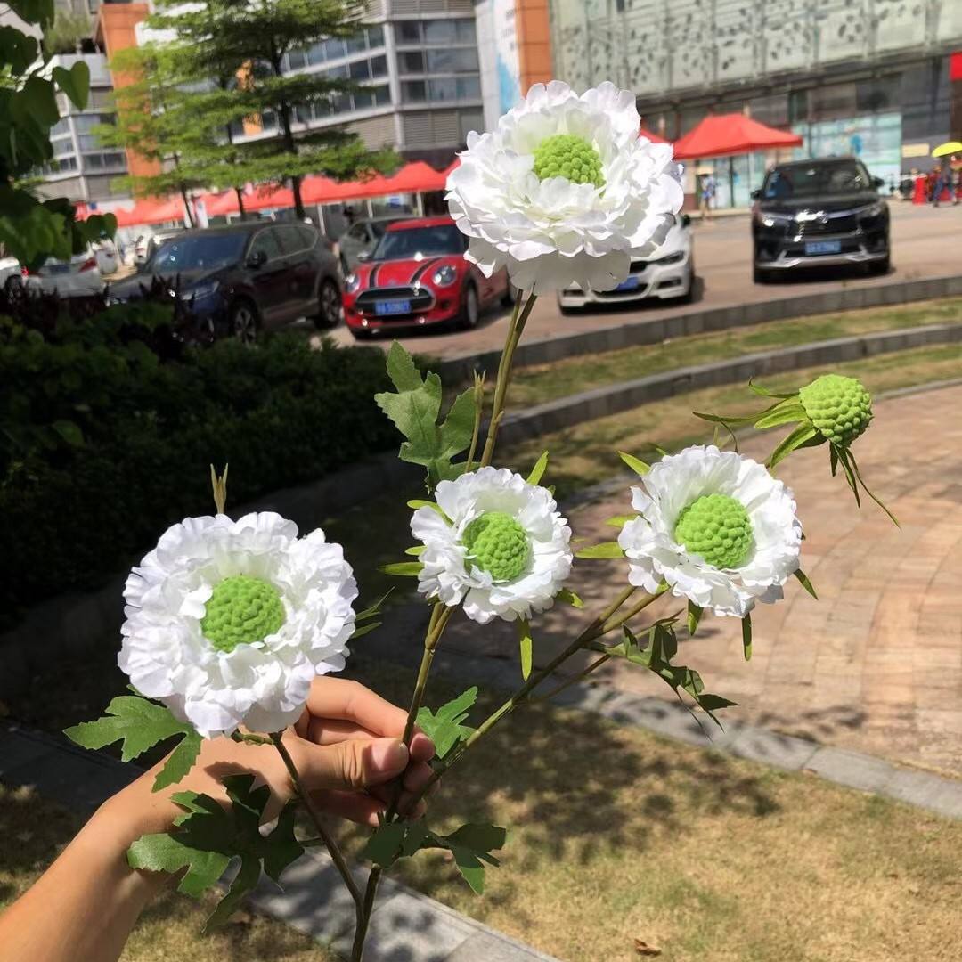 106# 5 head pine worm grass white