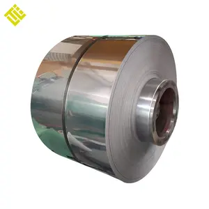 Top Quality DIN EN JIS ASTM 301 310S Hard Stainless Steel Coil Cold Rolled Stainless Steel