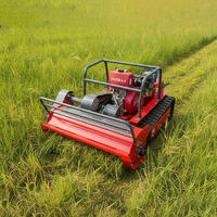 Livraison Gratuite Tondeuse Robot à Fléaux Télécommandée Tout-Terrain Agricole à Moteur Diesel CE EPA 800mm 1000mm 1200mm