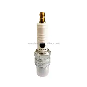 Spark plug 60999F for Waukesha VHP1000 gas engine