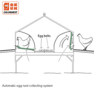 Automatic Chicken Egg Collector Roll Out Chicken <strong>Nest</strong> Egg Collector Chicken <strong>Nesting</strong> <strong>Box</strong> with Automatic Eggs Collector - Product Image 6