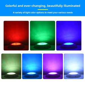 Luz LED para piscina, luz <span class=keywords><strong>de</strong></span> <span class=keywords><strong>buceo</strong></span> montada en la pared, foco regulable impermeable IP68 YC295-A - Product Image 4