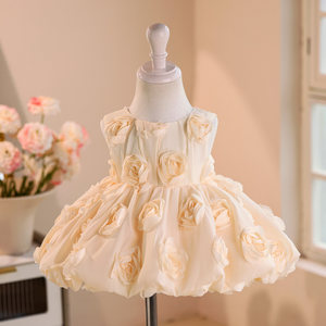 Abito da Principessa 3D con Rose per Bambina, Vestito Gonfio per Primo Compleanno, Abito Formale per Occasioni Speciali - Product Image 1