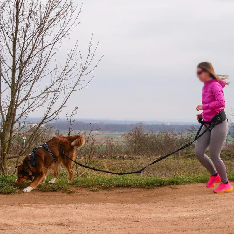 Nuovo Design di qualità di esportazione per cani da caccia all'aperto gilet senza imbracatura per cani da tiro per la caccia sul campo