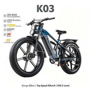 Vélo tout-terrain K03, vitesse 45 km/h, 750 W, 48 V, batterie lithium amovible - Product Image 1