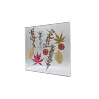 Presse-papiers en acrylique avec fleurs séchées pressées, feuille d'érable véritable, fleur préservée, cube de résine, décoration de bureau, cadeau pour la maison et le bureau