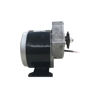 Electric Tricycle Agricultural Machinery and Equipment 24V 350W Brush DC Motor