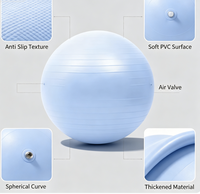 Ballon de yoga rond en PVC souple 55/65/75cm, écologique, durable, avec conception anti-explosion, vente en gros