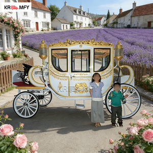 Calèche de mariage électrique royale à chevaux - Style Cendrillon de luxe pour 4 à 6 personnes - Product Image 2
