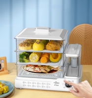 Cuiseur Vapeur Électrique Grande Capacité 24L pour la Maison, Chauffage Électrique, Facile à Nettoyer, Fonction de Réservation, Idéal pour le Petit-Déjeuner