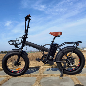 Vélo <span class=keywords><strong>pliant</strong></span> électrique Offre Spéciale 750W 20 pouces gros pneu vélo pliable électronique neige/plage nouveau vélo E - Product Image 2