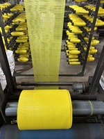 PP Mesh Zakken Fabrikant Gerecycled 50*80cm 25kg Op Maat Kleur Groenten Fruit PP Mesh Net Zak voor Aardappel Ui