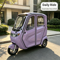 Tricycle électrique familial compact à 3 roues, cabine scellée, nouvelle énergie, 3 places pour adultes, pour les trajets quotidiens