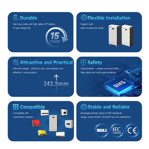 Système de stockage d'énergie domestique EVE, système de stockage d'énergie solaire, batterie lithium 51,2V 10kWh 15kWh 314Ah, montage mural - Product Image 1