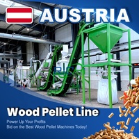 RICHI Industrial EPC Ligne de production de granulés de bois biomasse - Autriche, granulés de 6-8mm, certifiée CE, pour tiges de coton, pin, caoutchouc, biomasse tropicale, avec matrice annulaire