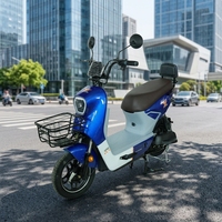 Nouveau vélo électrique 48V 20Ah 800W, 14 pouces, à cadre bas, pour trajets urbains, avec panier avant et siège passager