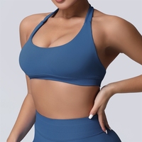 Bra Olahraga Wanita Model Leher Terbuka, Bahan Nylon Elastis Tinggi, Tanpa Punggung, untuk Yoga, Gaya Eropa dan Amerika