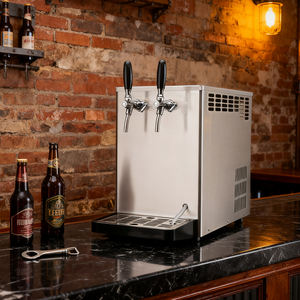 Refroidisseur de bière de haute qualité Kegerator 2 robinet distributeur de bière pression pour bar - Product Image 5