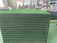 Tapis de golf 3D avec insert remplaçable, couche à ressorts 3D, gazon en nylon, base en EVA, protection des poignets, simulateur de practice