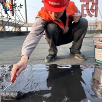 Revestimiento Impermeable de Poliuretano a Base de Aceite de Alta Resistencia a la Abrasión, Materiales Impermeables Líquidos para Techos Metálicos, Impermeabilización de Techos Planos