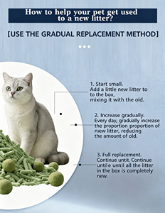 ทรายแมวกลิเวย์ ท๊อฟฟี่ ปราศจากฝุ่น สะอาด กลิ่นชาเขียวธรรมชาติ จับตัวเป็นก้อนแข็ง ล้างออกได้ ควบคุมกลิ่นด้วยถ่านกัมมันต์ - Product Image 3