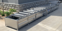 Fruit- en groenteverkookmachine, PLC-gestuurd, SUS 304 roestvrij staal, 400 kg/uur, voor cassave, aardappel, asperges, wortelen, maïs