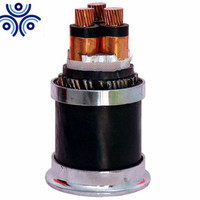 Câble haute tension isolé XLPE de fournisseur chinois pour l'alimentation électrique