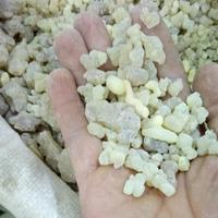 Encens naturel Royal Hojari D'encens Boswellia sacra importés D'oman